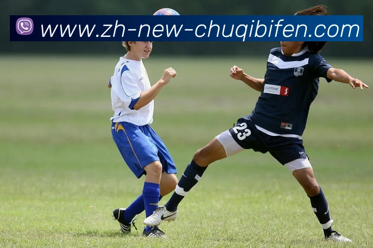 出奇即时比分平台生态图